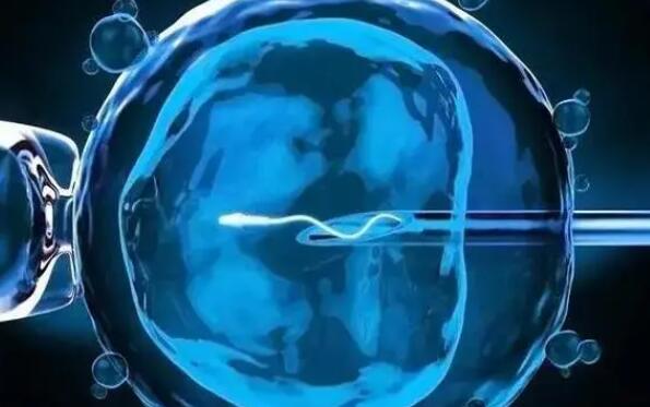 45岁的女人检查有一个卵泡做试管有多少成功怀孕的机会