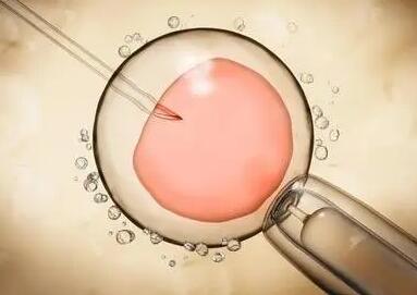 试管婴儿冷冻的胚胎一般可以在医院保留几年