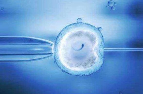 试管移植后能否弯腰捡东西，对胚胎产的负面影响详解