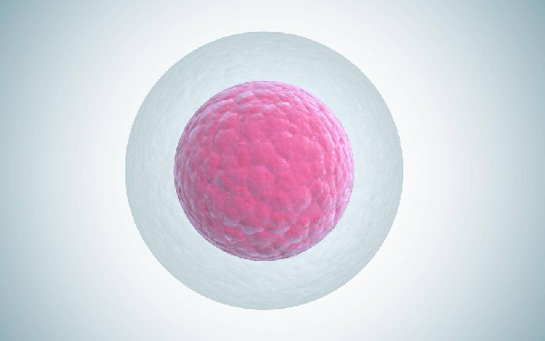融合胚胎移植后成功率对然很高，但也要注意这三点问题